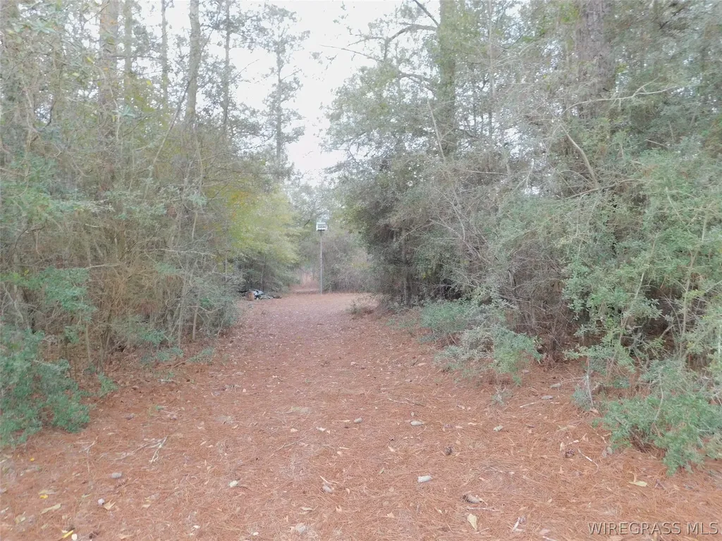 36581 Odom Road Dozier AL 36028