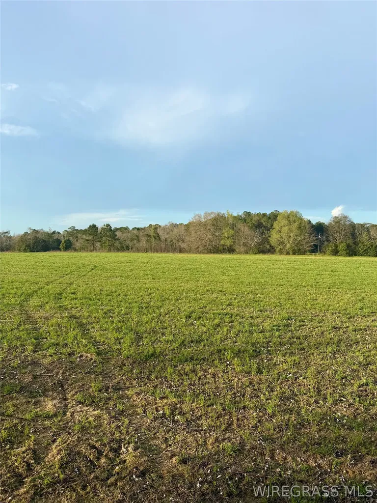 0 Highway 84 E Daleville AL 36322