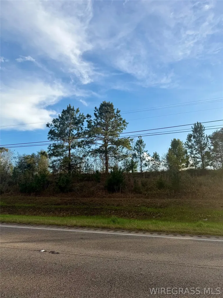 0 Highway 84 E Daleville AL 36322