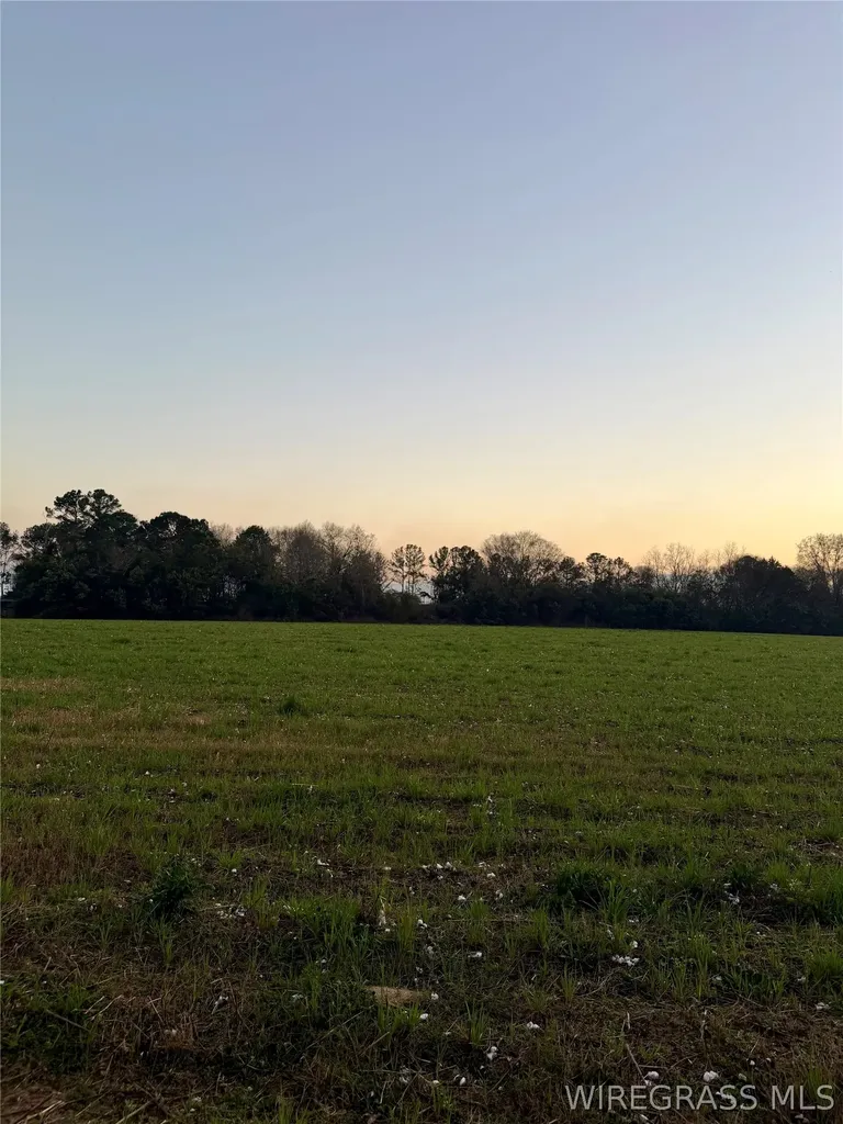 0 Highway 84 E Daleville AL 36322