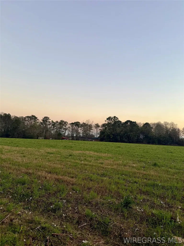 0 Highway 84 E Daleville AL 36322