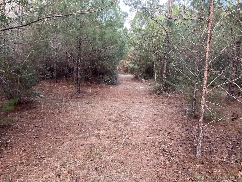 0 Odom Road Dozier AL 36028