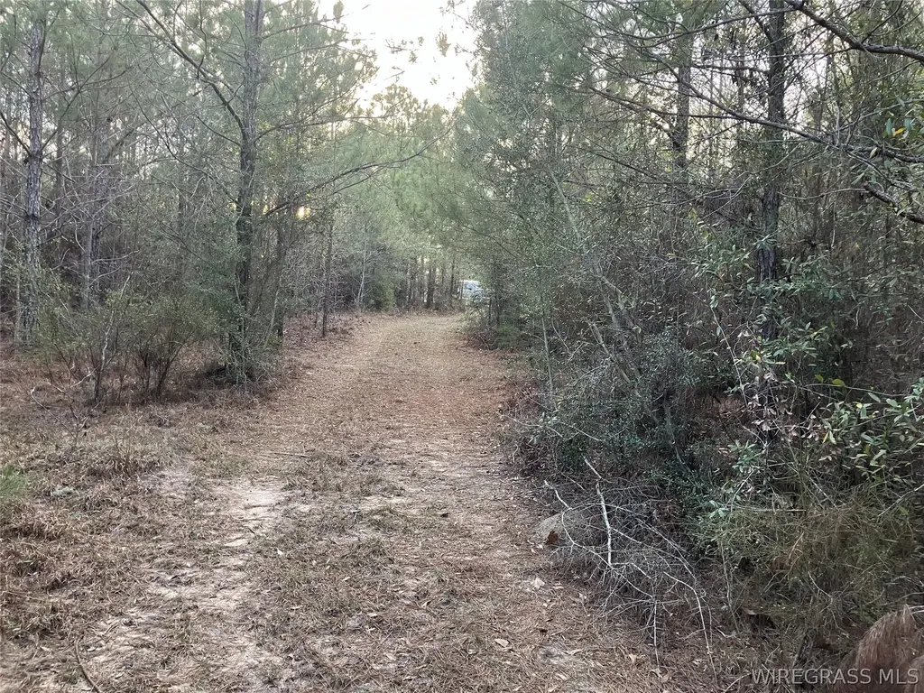 0 Odom Road Dozier AL 36028