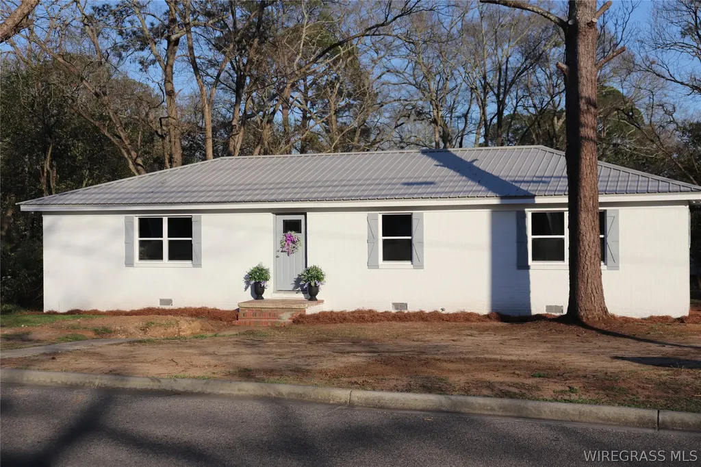 136 Dauphin Street Enterprise AL 36330