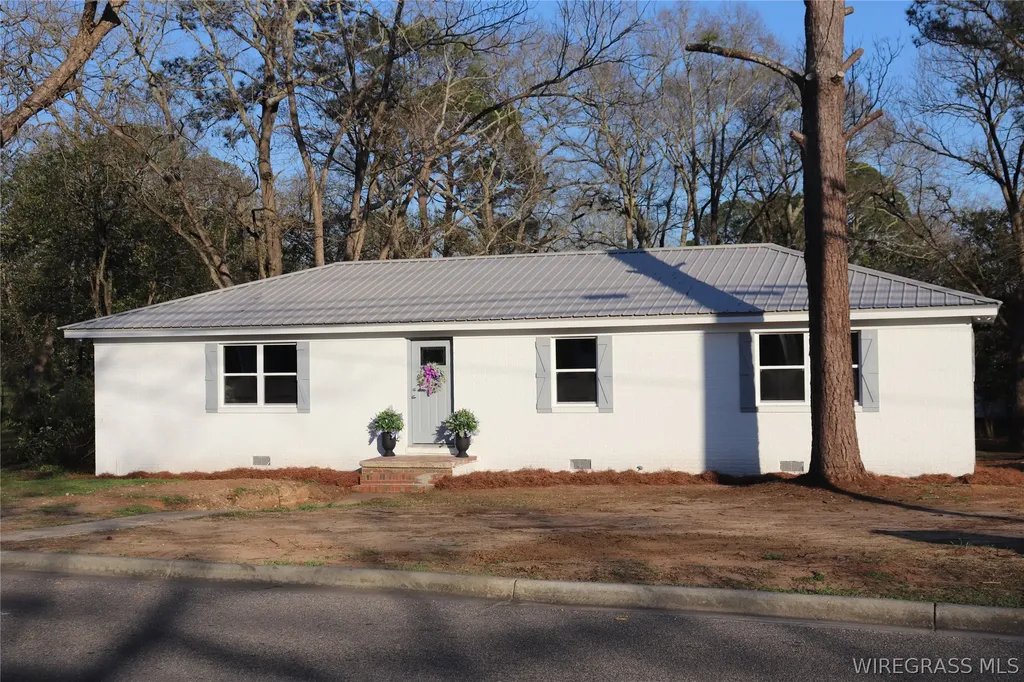 136 Dauphin Street Enterprise AL 36330