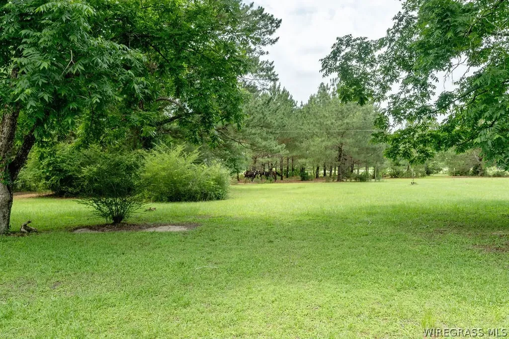 245 W Main Street Daleville AL 36322