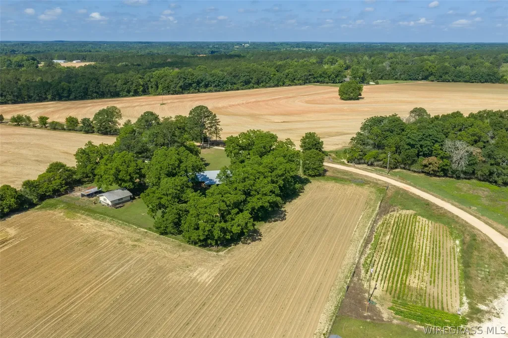 288 Bill Wooten Road Chancellor AL 36316