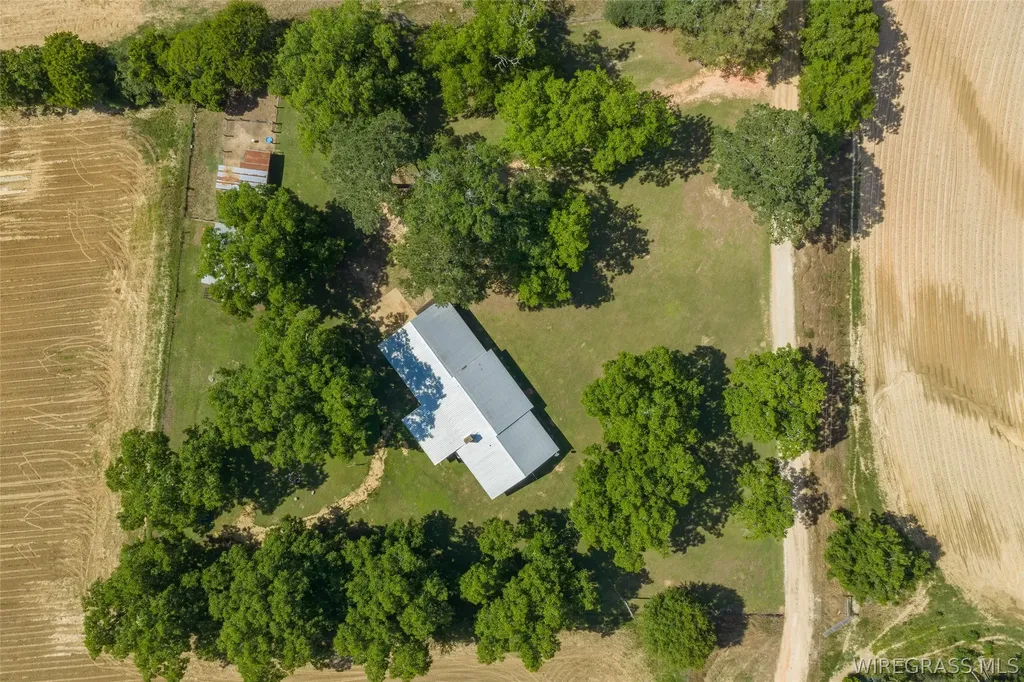 288 Bill Wooten Road Chancellor AL 36316