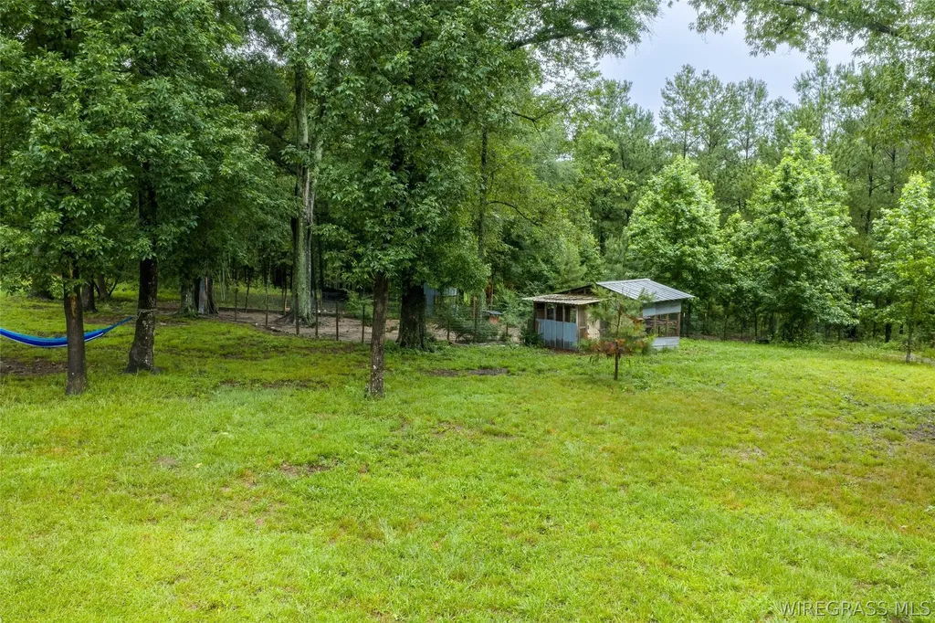 7727 S Highway 167 Hartford AL 36344