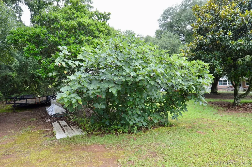 160 Boll Weevil Circle Enterprise AL 36330