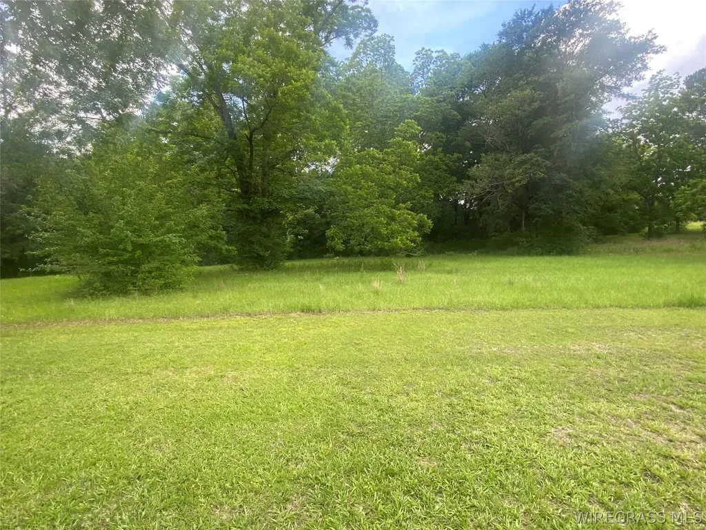 383 Peters Drive Ozark AL 36360