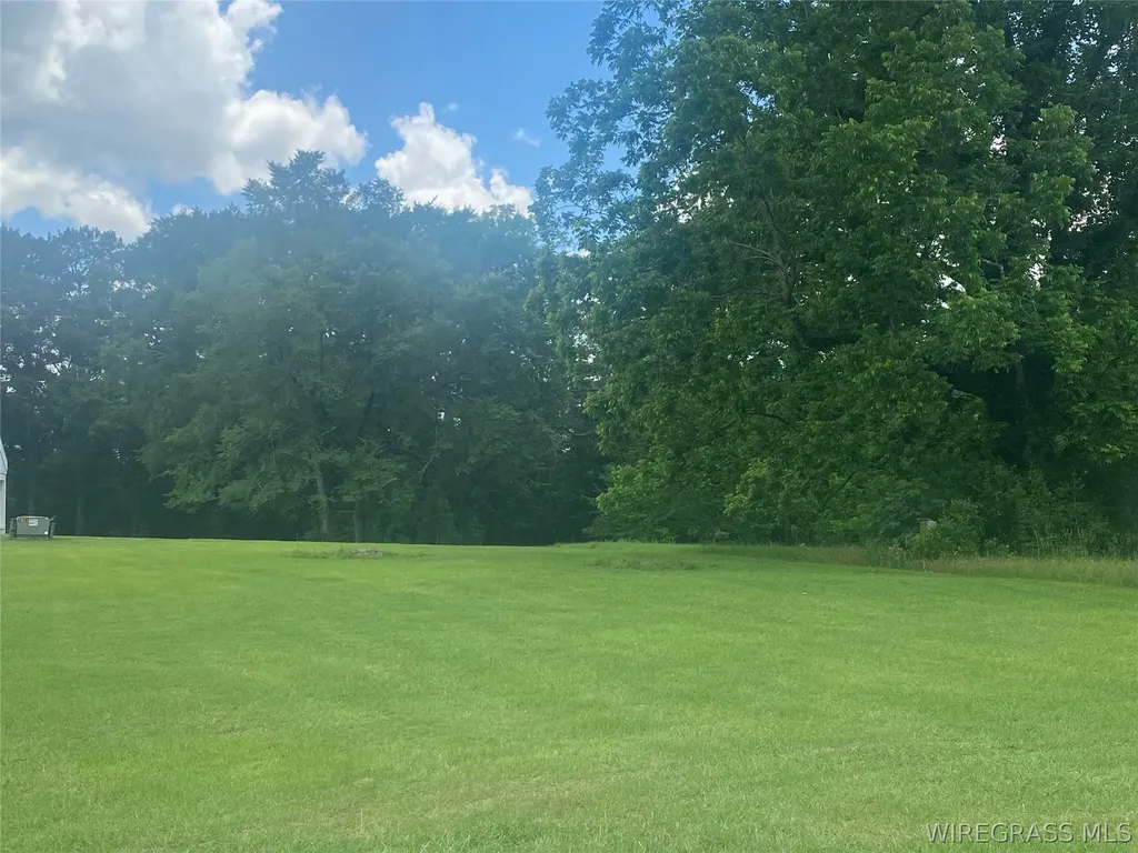 383 Peters Drive Ozark AL 36360