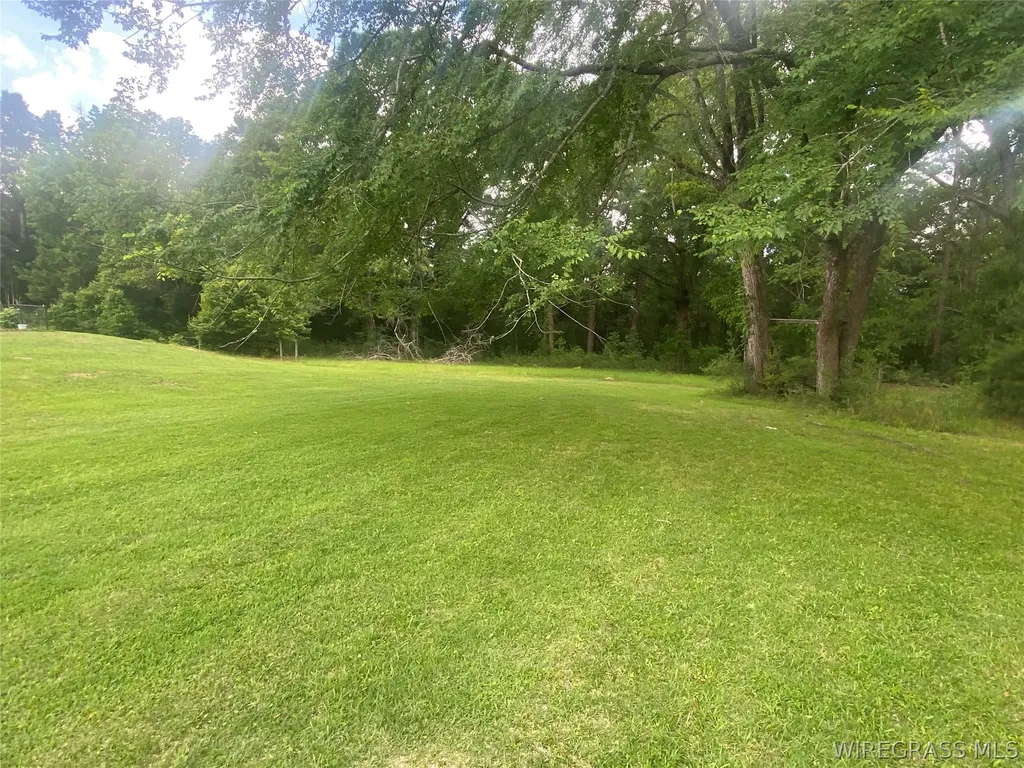 383 Peters Drive Ozark AL 36360