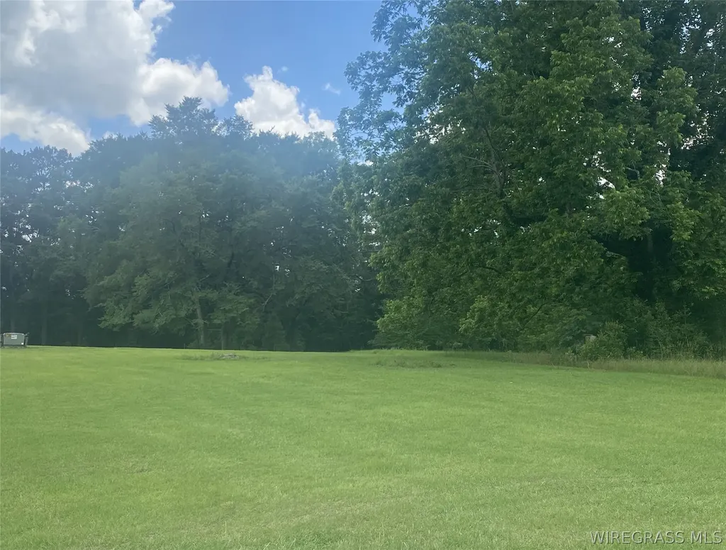 383 Peters Drive Ozark AL 36360