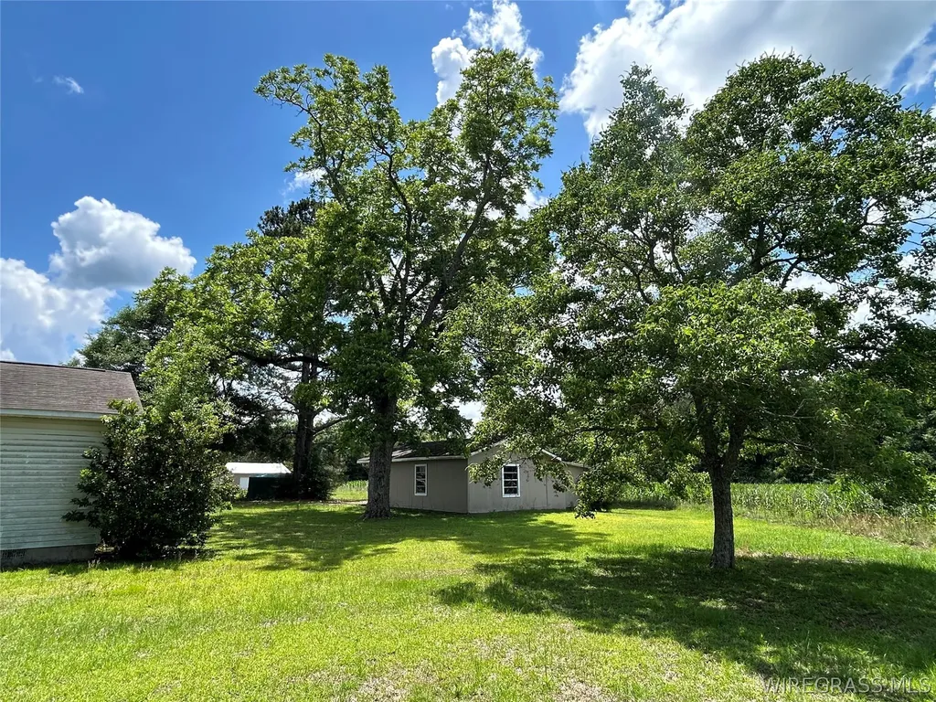 1549 Smith Avenue Elba AL 36323