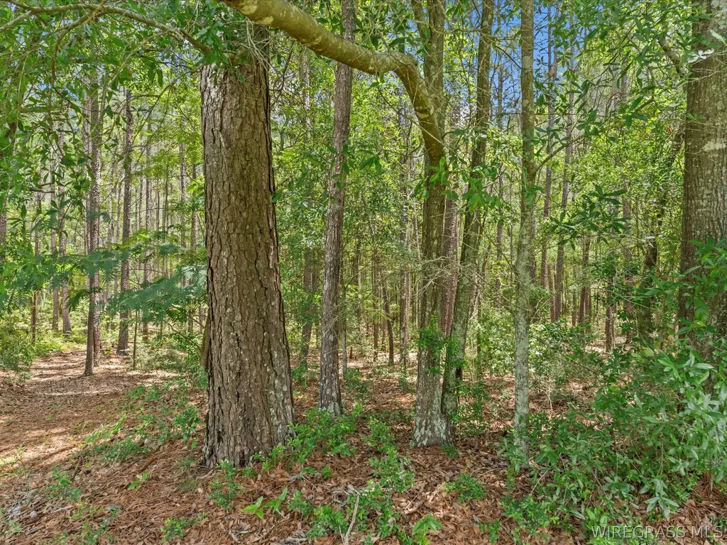 1399 County Road 537 Enterprise AL 36330