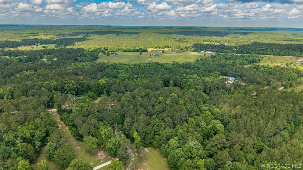 0 County Road 245 Road Elba AL 36323