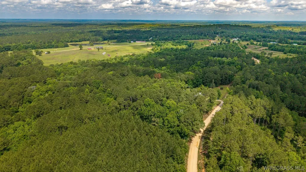 0 County Road 245 Road Elba AL 36323