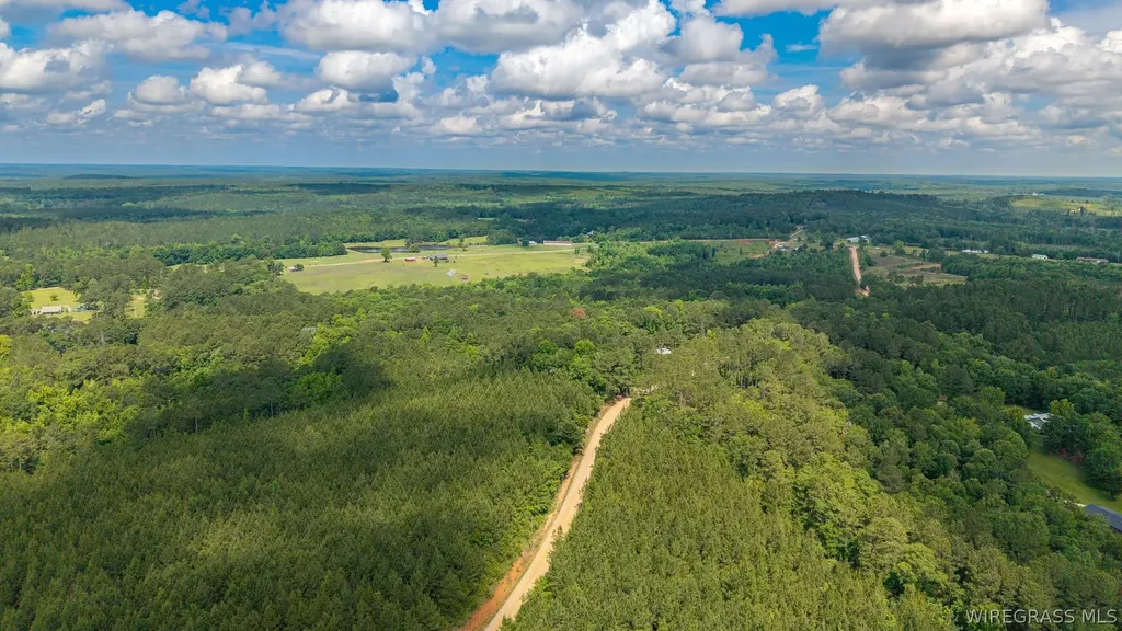 0 County Road 245 Road Elba AL 36323