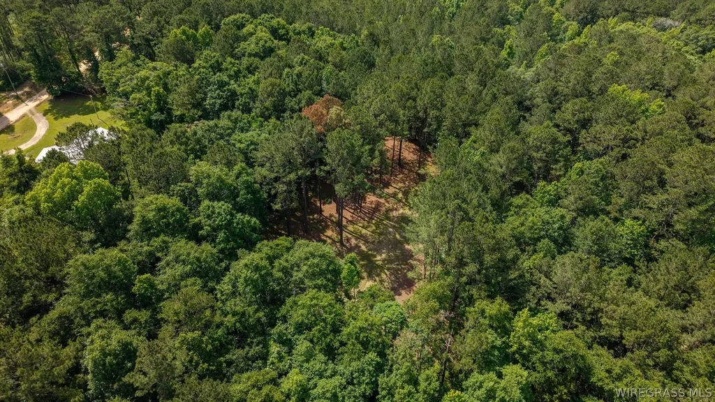 0 County Road 245 Road Elba AL 36323