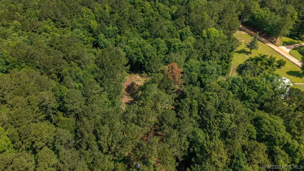 0 County Road 245 Road Elba AL 36323