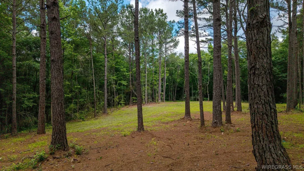 0 County Road 245 Road Elba AL 36323