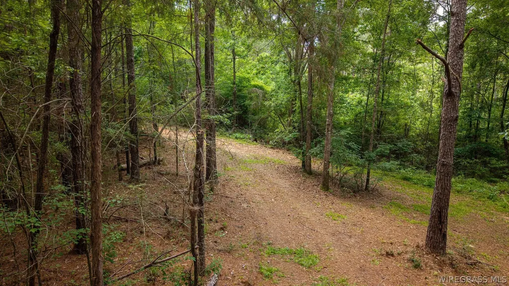 0 County Road 245 Road Elba AL 36323