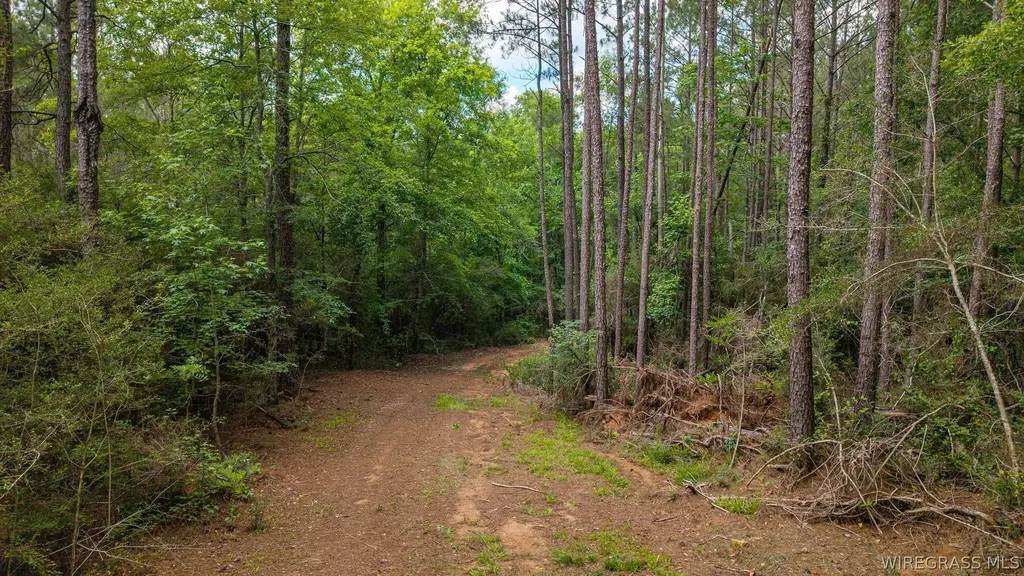 0 County Road 245 Road Elba AL 36323