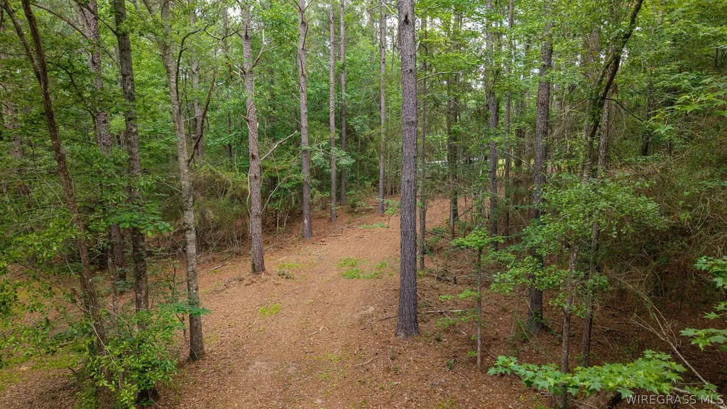 0 County Road 245 Road Elba AL 36323