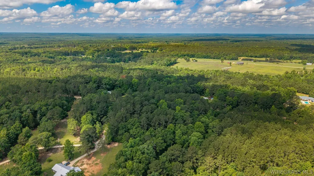 0 County Road 245 Road Elba AL 36323