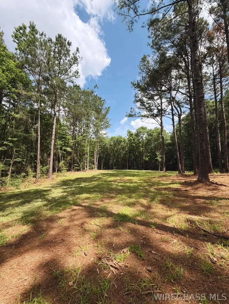 0 County Road 245 Road Elba AL 36323