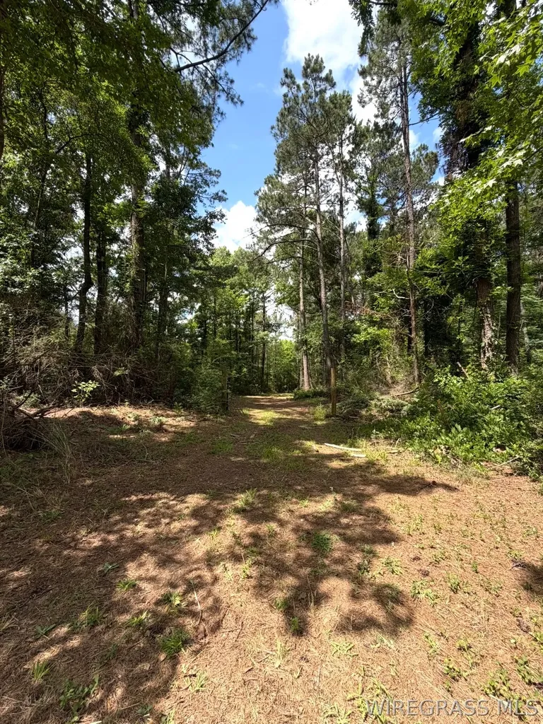 0 County Road 245 Road Elba AL 36323
