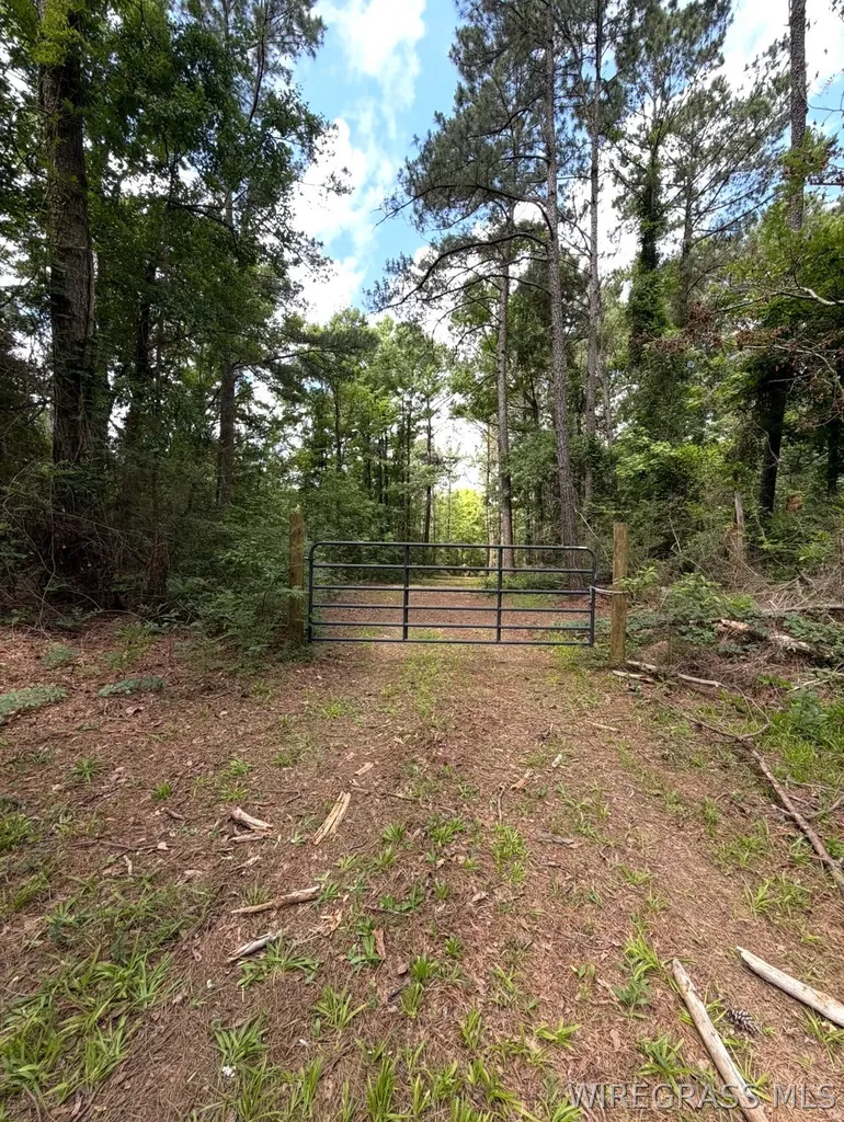 0 County Road 245 Road Elba AL 36323