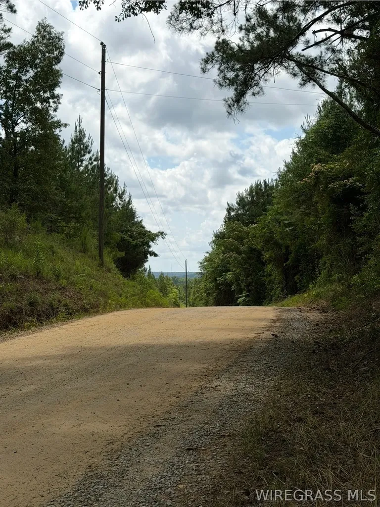 0 County Road 245 Road Elba AL 36323