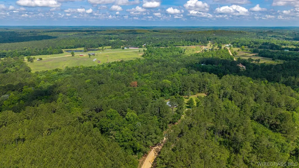 0 County Road 245 Road Elba AL 36323