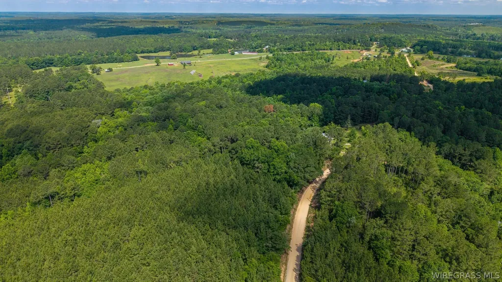 0 County Road 245 Road Elba AL 36323