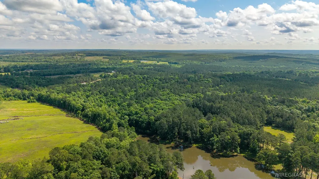 0 County Road 245 Road Elba AL 36323