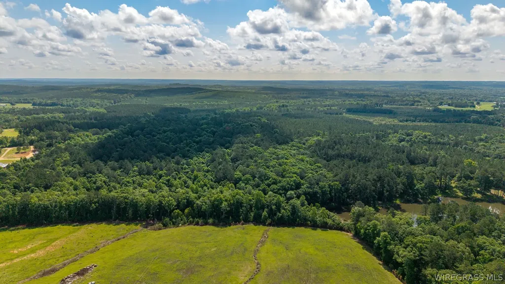 0 County Road 245 Road Elba AL 36323