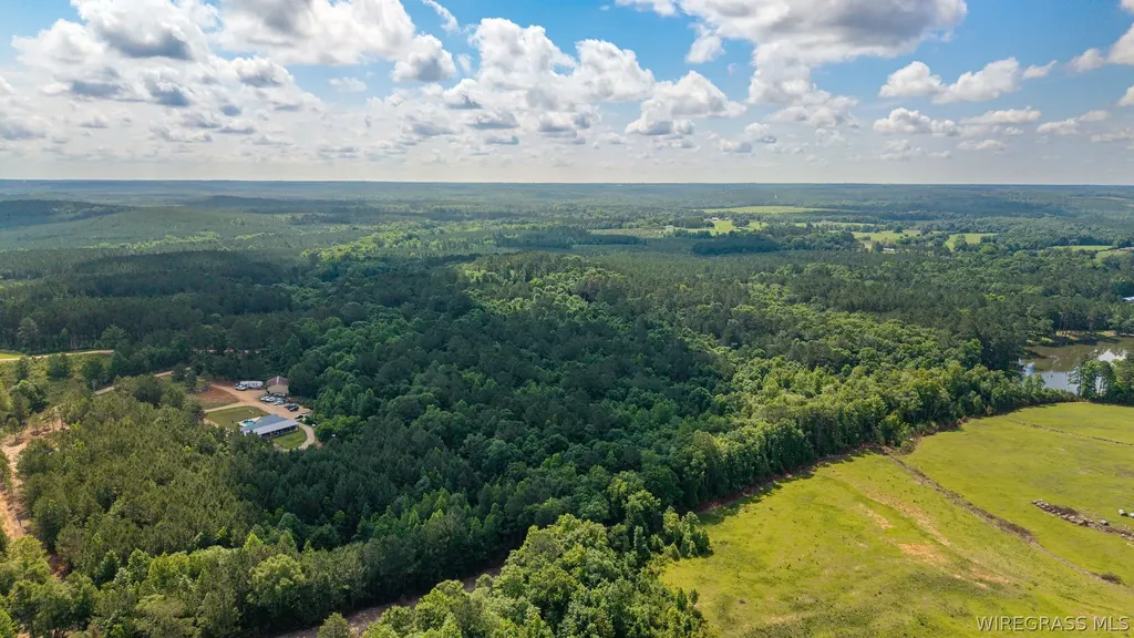 0 County Road 245 Road Elba AL 36323