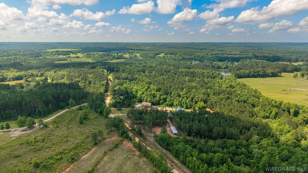 0 County Road 245 Road Elba AL 36323