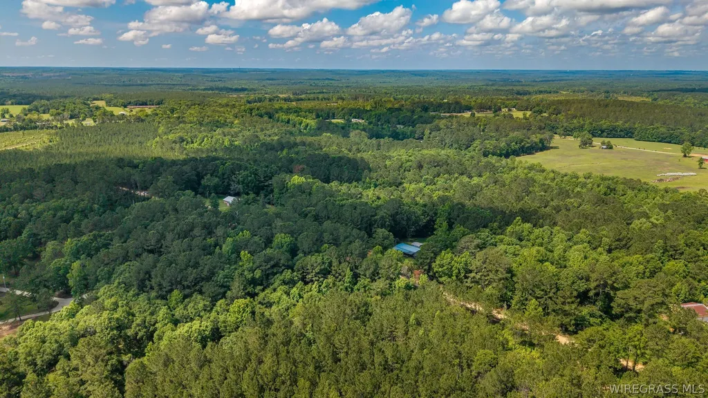 0 County Road 245 Road Elba AL 36323