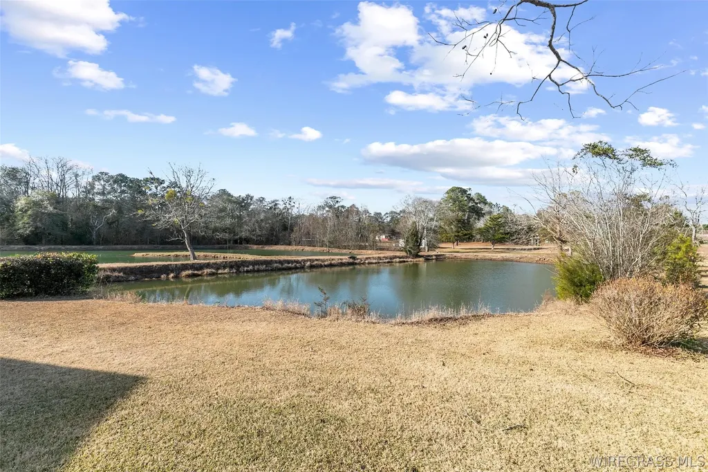 314 Alpha Street Midland City AL 36350