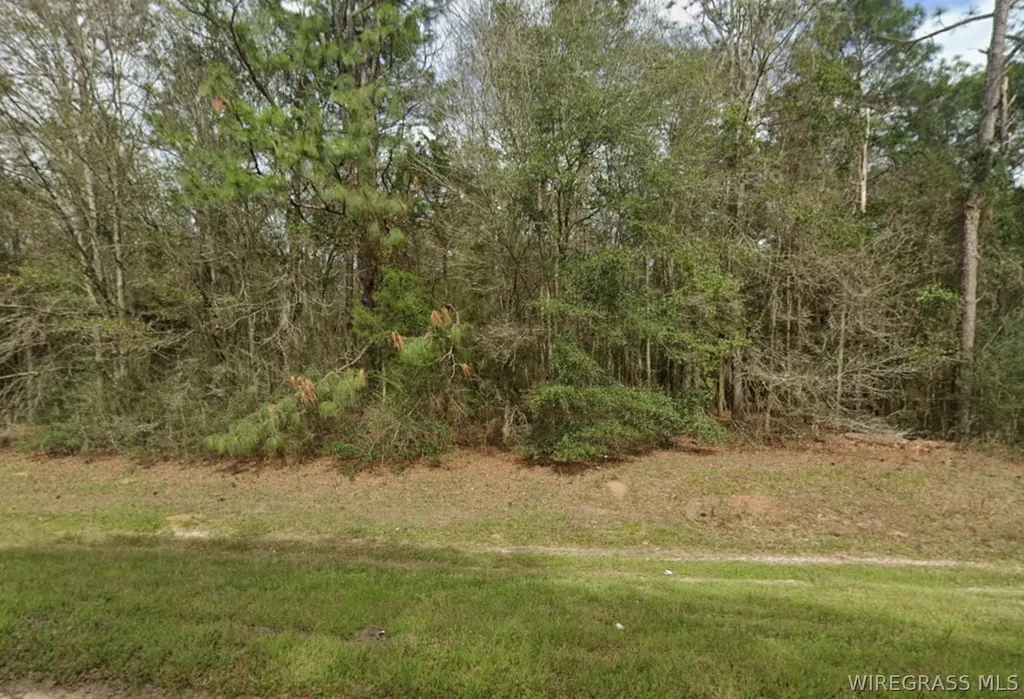 0 Caldwell Road Samson AL 36477
