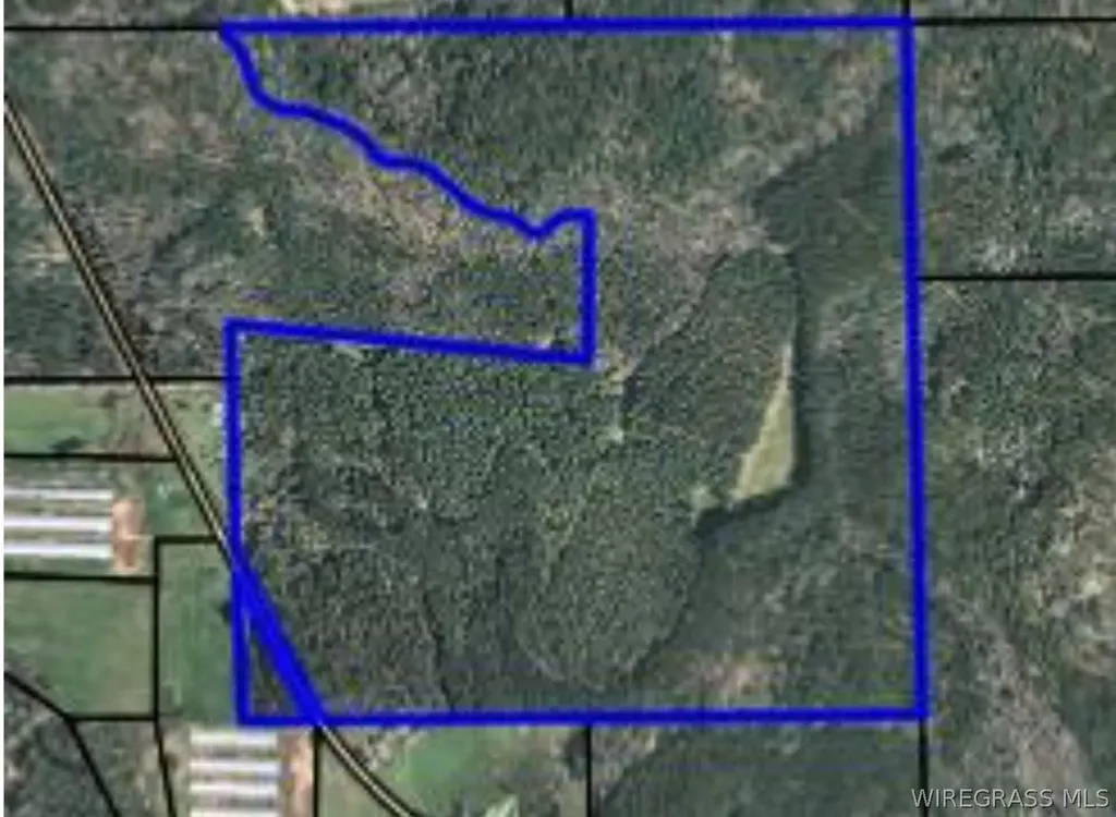 0 Caldwell Road Samson AL 36477
