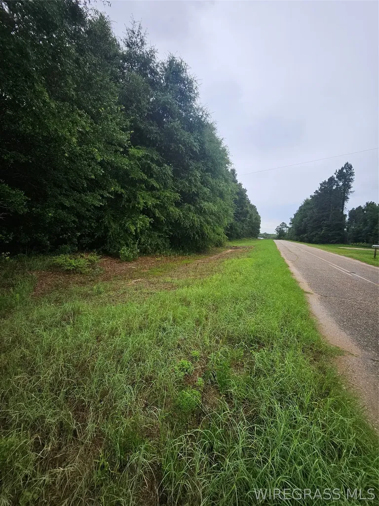 0 Caldwell Road Samson AL 36477
