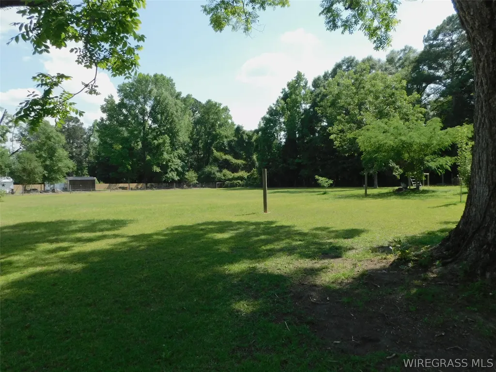 125 Hawkins Road Dozier AL 36028