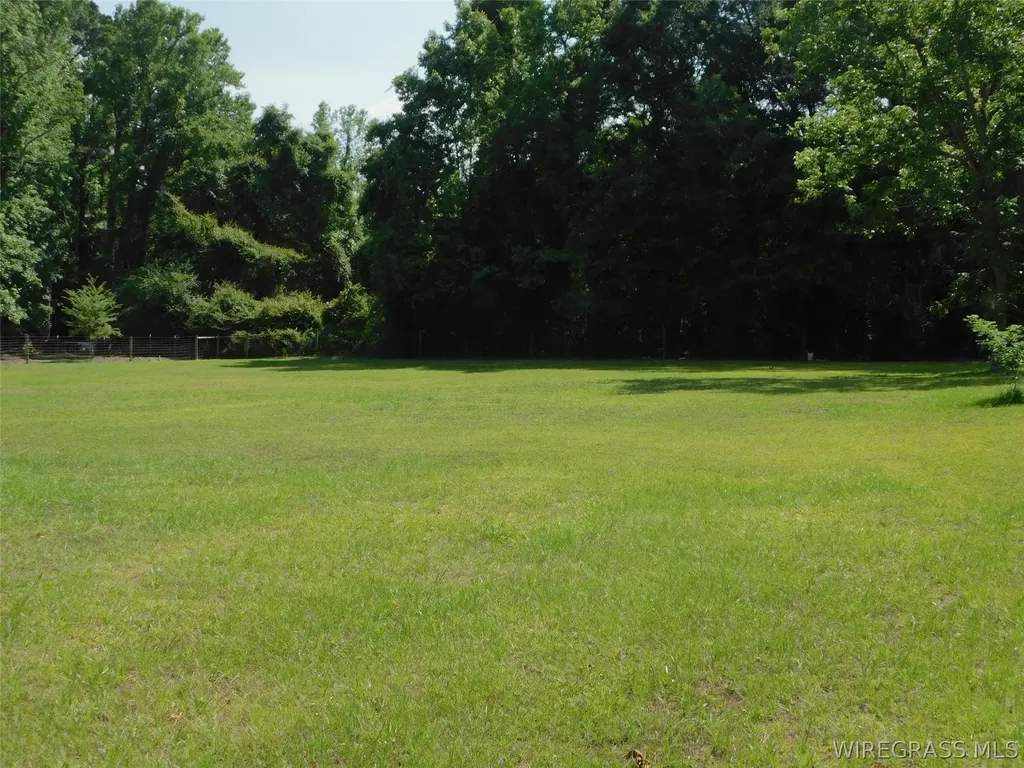 125 Hawkins Road Dozier AL 36028
