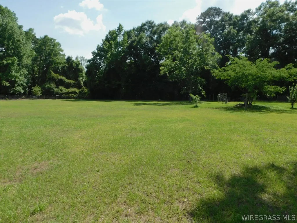 125 Hawkins Road Dozier AL 36028