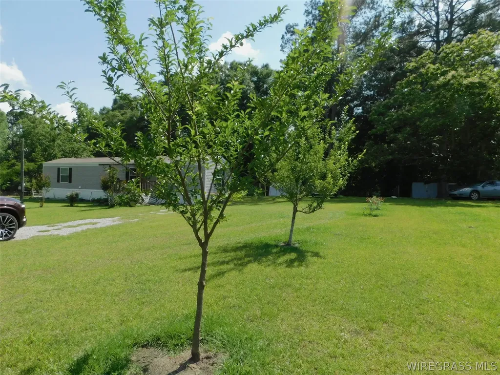 125 Hawkins Road Dozier AL 36028