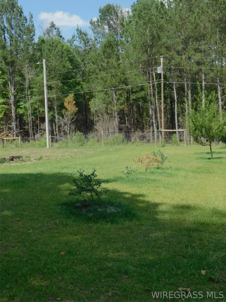125 Hawkins Road Dozier AL 36028